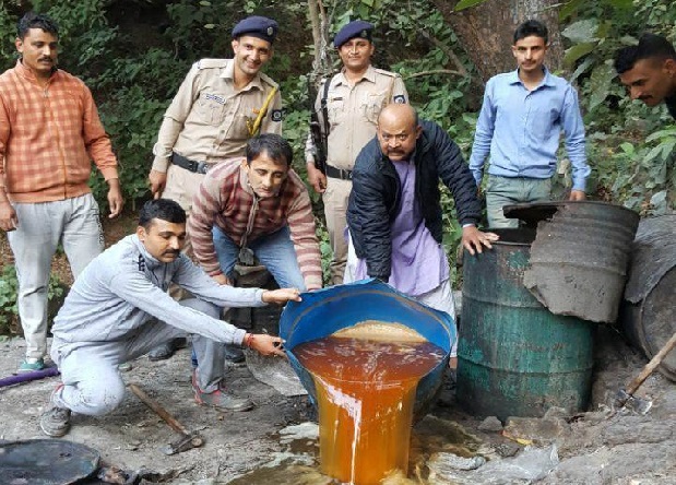 पांवटा: पुलिस ने जंगल से 75 ड्रम अवैध शराब की नष्ट