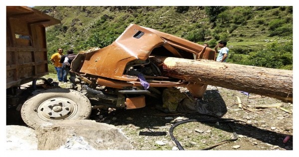 कुल्लू: छरोड़नाला में टिप्पर पर गिरा पेड़, एक की मौत
