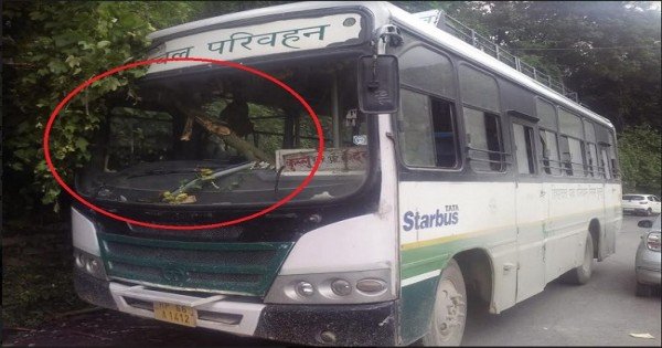 कुल्लू: HRTC की चलती बस पर गिरा पेड़, बाल-बाल बचा चालक