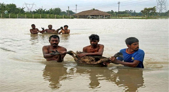 असम में बाढ़ का कहर, अब तक 44 लोगों की मौत