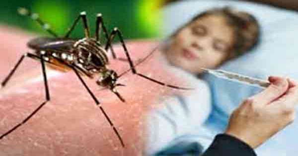 बिलासपुर में डेंगू ही डेंगू, सोमवार को 7 नए मामले दर्ज