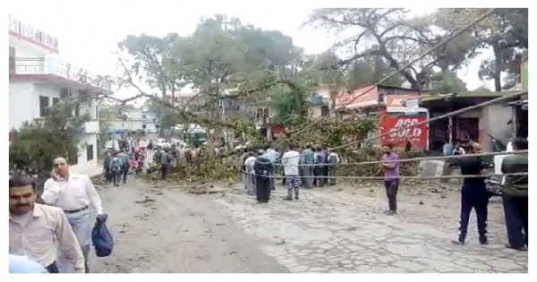 हमीरपुर: NH पर 6 घंटे लगा जाम, तेज तूफान से सड़क पर गिरा पेड़