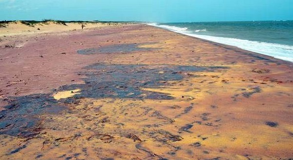 भारतीय वैज्ञानिकों ने समुद्र में ढूंढा ‘खजाना’, 3 साल की मेहनत लाई रंग