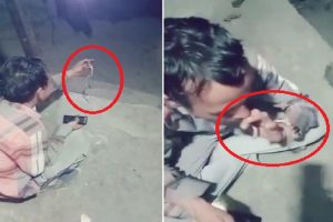 चंबा: नशे में धुत होकर युवक सांप को कर रहा था KISS, काटने से हुई मौत