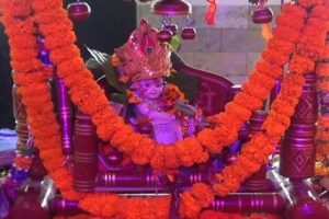 शिमला में धूमधाम से मनाया जा रहा जन्माष्टमी का त्यौहार, मंदिरों में लगा श्रद्धालुओं का तांता