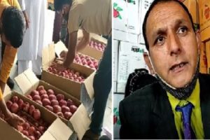शिमला: ओलावृष्टि से ग्रसित सेब और इरान के सस्ते सेब के कारण गिर रहा हिमाचल के सेब का दाम