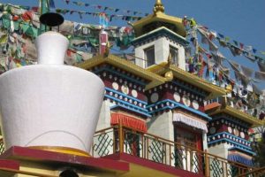 तिब्बती मना रहे नए वर्ष ‘लोसर’ का जश्न, दीपावली की तरह मनाया जाता है त्यौहार
