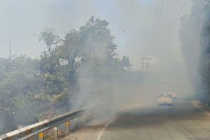 धधकने लगे हिमाचल के जंगल, तारा देवी के जंगलों में लगी आग ने लिया विकराल रूप