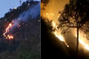 सोलन: कसौली के रिहायशी क्षेत्र सुरक्षित, दूरदराज के जंगलों में आग का तांडव जारी