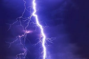 कांगड़ा: इंदौरा में आसमान से बरसी आफत, बिजली गिरने से 7 भैंसों की मौत