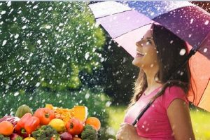 बरसात के मौसम में शरीर को स्वस्थ रखना है तो अपनी दिनचर्या में इन बातों का रखें ध्यान