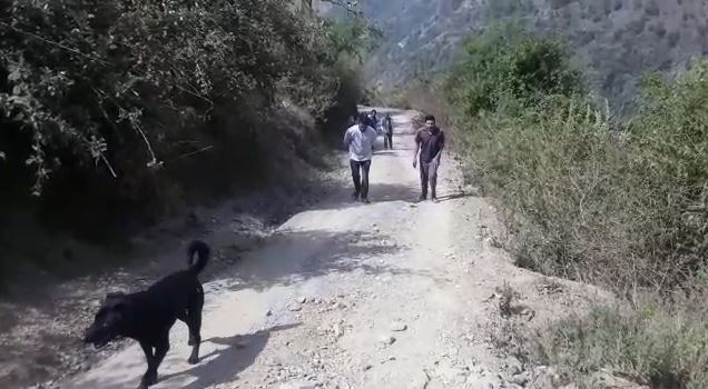 road accident in shimla himachal