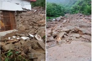 बिलासपुर: भारी बारिश के बाद नाले में आई बाढ़, 2 गौशाला समते 2 भैंस और 7 बकरियां बहीं