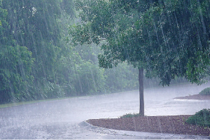 मौसम विभाग की चेतावनी, अगले 5 दिनों तक भारी बारिश का अलर्ट