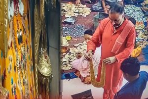 नैना देवी मंदिर में भक्त ने मां के चरणों में अर्पित किया 1 किलो सोने का हार