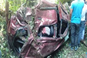 शिमला: रोहड़ू में खाई में गिरी कार के उड़े परखच्चे, चालक की मौत