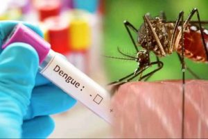 सिरमौर में डेंगू ने पसारे पांव, लगातार बढ़ते जा रहे मामले