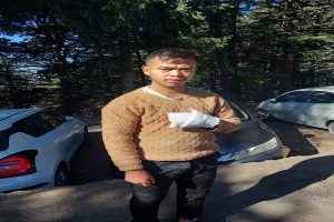 शिमला: घर लौट रहे व्यक्ति पर तेंदुएं ने किया हमला