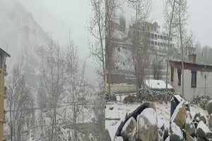 लाहौल-स्पीति में शुरू हुई बर्फबारी, शीतलहर की चपेट में पूरा प्रदेश