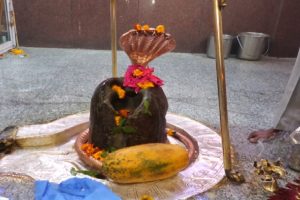 “ऐतिहासिक गसोता महादेव मंदिर में महाशिवरात्रि पर्व के लिए तैयारियां जोरों पर”