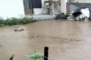 कांगड़ा में मूसलाधार बारिश होने के कारण लोगों के घरों में भरा पानी