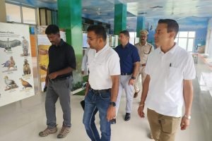 पौंग बांध क्षेत्र को पर्यटन हब बनाने का खाका तैयार