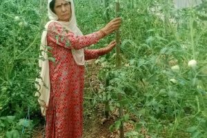 प्राकृतिक खेती को अपनाकर शोभा बनी उत्कृष्ट महिला किसान