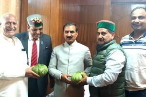 जैविक खेती के लिए युवाओं को प्रेरित कर रहे विधायक केवल सिंह पठानिया