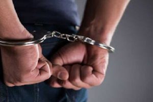 जॉब के लिए फेक ऑइंटमेंट लेटर जारी करने वाला शिमला का आरोपी गिरफ्तार