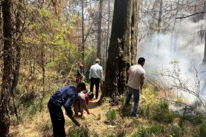 बलद्वाड़ा के जंगल में लगी आग, जाइका और वन विभाग की टीम ने बुझाई