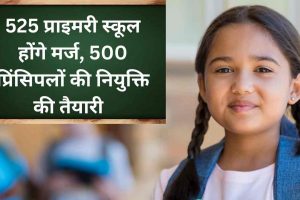 Education: 525 प्राइमरी स्कूल होंगे मर्ज, 500 प्रिंसिपलों की नियुक्ति की तैयारी