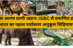 दुर्गेश अरण्य प्राणी उद्यान: IGBC से प्रमाणित होगा भारत का पहला पर्यावरण अनुकूल चिड़ियाघर