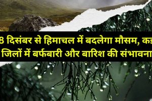 8 दिसंबर से हिमाचल में बदलेगा मौसम, कई जिलों में बर्फबारी और बारिश की संभावना