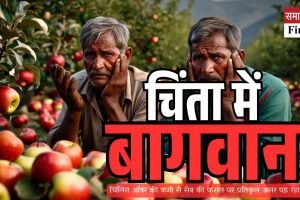 हिमाचल के सेब बागानों में चिलिंग ऑवर की कमी से चिंता