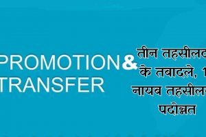 हिमाचल में तीन तहसीलदारों के तबादले, 12 नायब तहसीलदार पदोन्नत