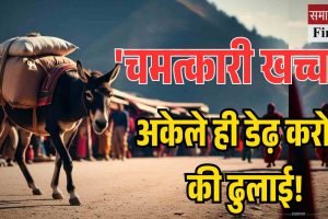 चंबा में ‘चमत्कारी खच्चर’, अकेले ही कर डाली डेढ़ करोड़ की ढुलाई!