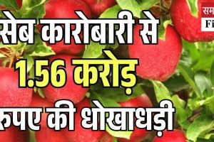 शिमला में सेब आढ़ती के साथ 1.56 करोड़ रुपए की धोखाधड़ी