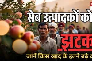 सेब उत्पादकों को झटका: एनपीके (12-32-16) की 50 किलो बोरी अब ₹1720 में मिलेगी, पहले कीमत थी ₹1470।