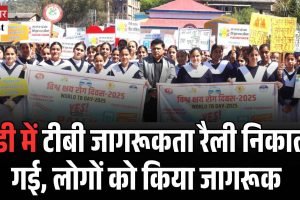 मंडी में टीबी जागरूकता रैली निकाली गई, लोगों को किया जागरूक