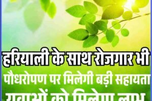 हरियाली के साथ रोजगार भी: पौधरोपण पर मिलेगी बड़ी सहायता, युवाओं को मिलेगा लाभ