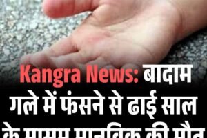 Kangra News: बादाम गले में फंसने से ढाई साल के मासूम मानविक की मौत