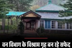 वन विभाग के विश्राम गृह बन रहे सफेद हाथी, दक्ष कुक नहीं, अफसरशाही हावी