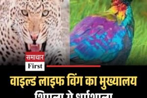 वाइल्ड लाइफ विंग का मुख्यालय शिमला से धर्मशाला शिफ्ट,अधिसूचना जारी