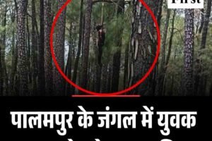 पालमपुर के जंगल में युवक का शव पेड़ से लटका मिला