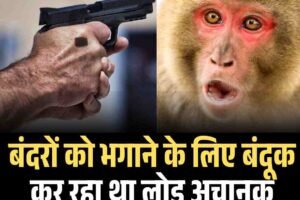 बंदरों को भगाने के लिए बंदूक कर रहा था लोड ! अचानक चली गोली और मौत