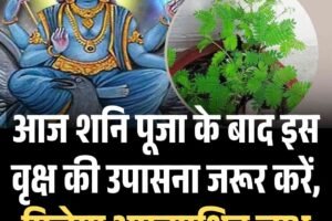 आज शनि पूजा के बाद इस वृक्ष की उपासना जरूर करें, मिलेगा अप्रत्‍याशित लाभ