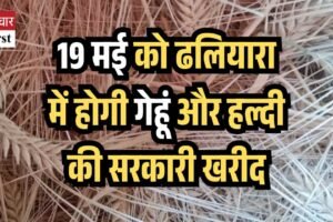 प्राकृतिक खेती को बढ़ावा दे रही है सुक्खू सरकार: 19 मई को ढलियारा में होगी गेहूं और हल्दी की सरकारी खरीद