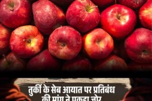 तुर्की के सेब आयात पर प्रतिबंध की मांग ने पकड़ा जोर