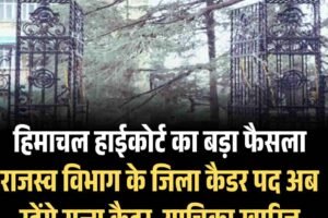 हिमाचल हाईकोर्ट का बड़ा फैसला: राजस्व विभाग के जिला कैडर पद अब रहेंगे राज्य कैडर, याचिका खारिज