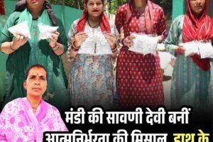 मंडी की सावणी देवी बनीं आत्मनिर्भरता की मिसाल, हाथ के हुनर से रच रहीं सपनों का संसार